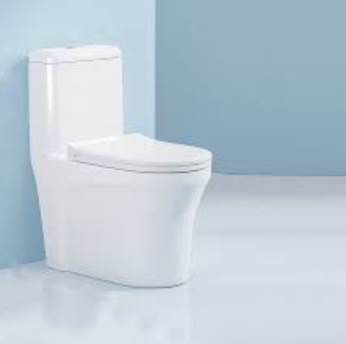 sitontoilet1