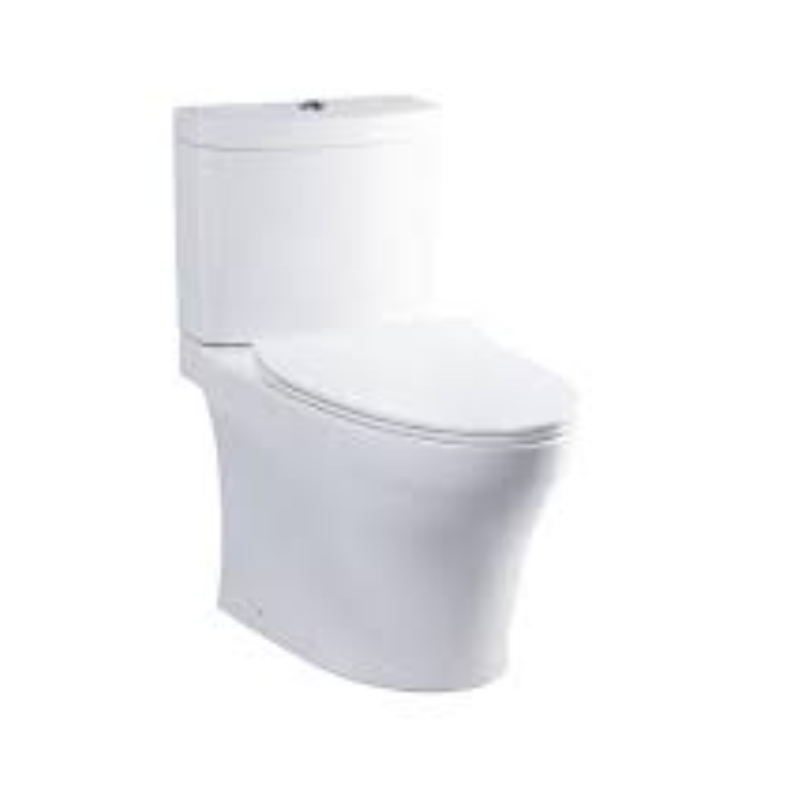 sitontoilet2